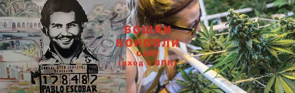 молекула духа Балахна