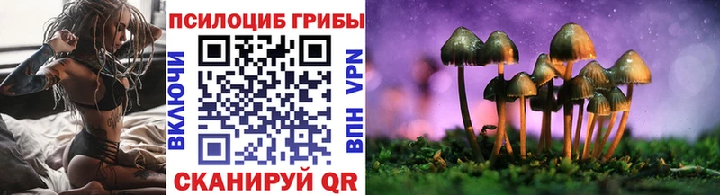 мориарти формула  Красный Холм  Псилоцибиновые грибы Cubensis 
